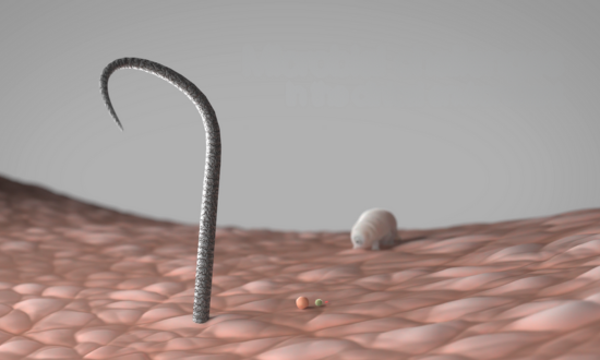 Microbial challenges