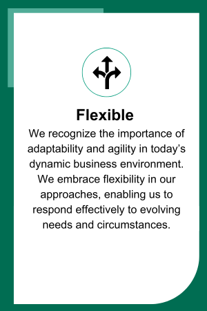 Working-at-intersurgical-flexible-value-image-US